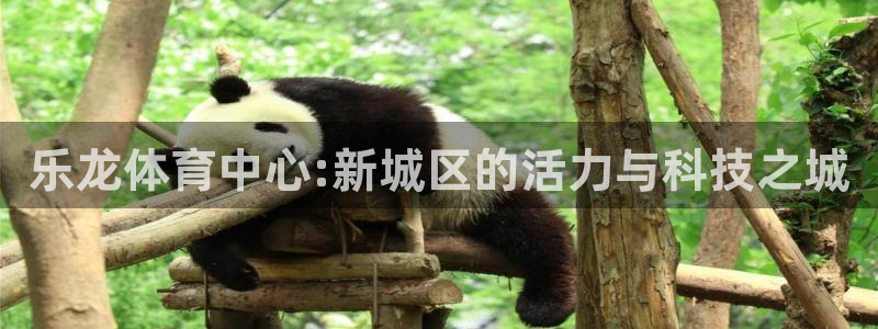 乐龙体育中心:新城区的活力与科技之城