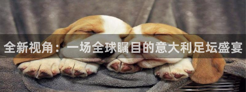 全新视角：一场全球瞩目的意大利足坛盛宴