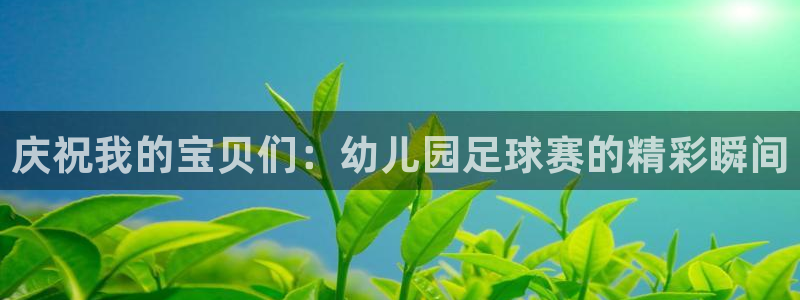 庆祝我的宝贝们：幼儿园足球赛的精彩瞬间