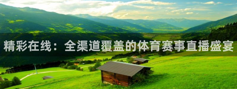 精彩在线：全渠道覆盖的体育赛事直播盛宴