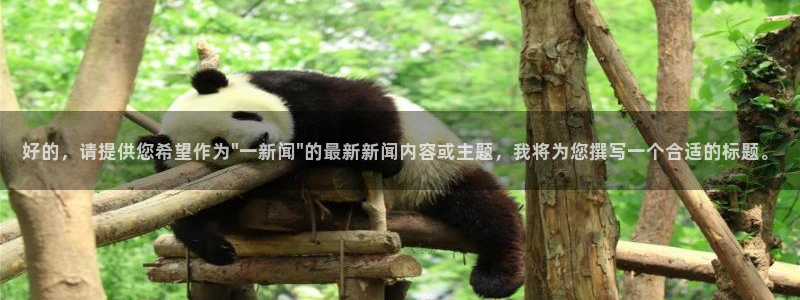 好的，请提供您希望作为\