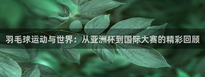 羽毛球运动与世界：从亚洲杯到国际大赛的精彩回顾
