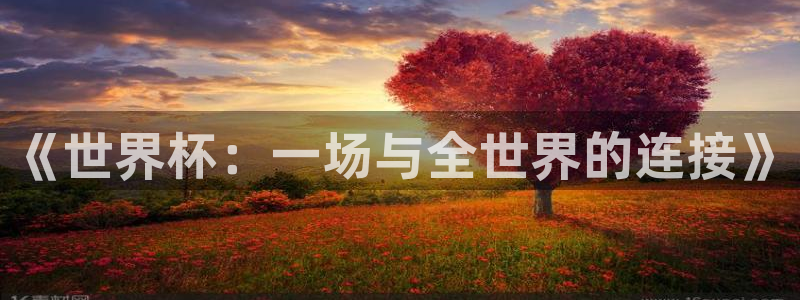 《世界杯：一场与全世界的连接》
