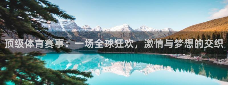 顶级体育赛事：一场全球狂欢，激情与梦想的交织