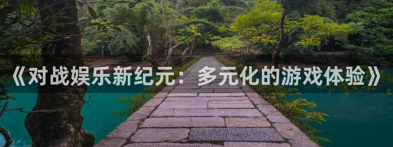 《对战娱乐新纪元：多元化的游戏体验》